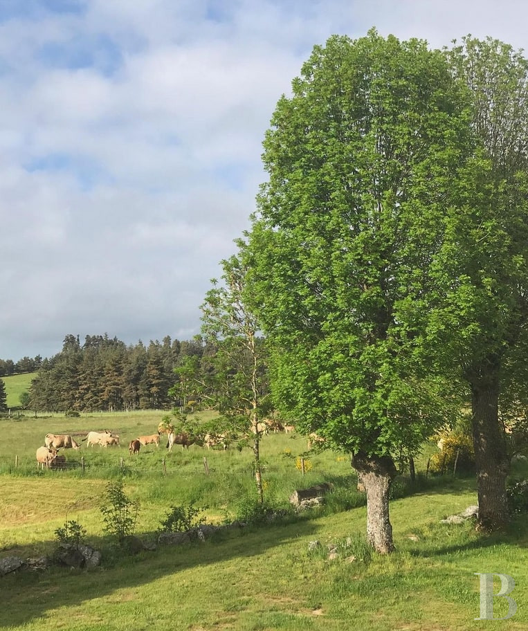 An old farm and dovecote in Lozère, at the entrance to the Aubrac plateau - photo  n°32